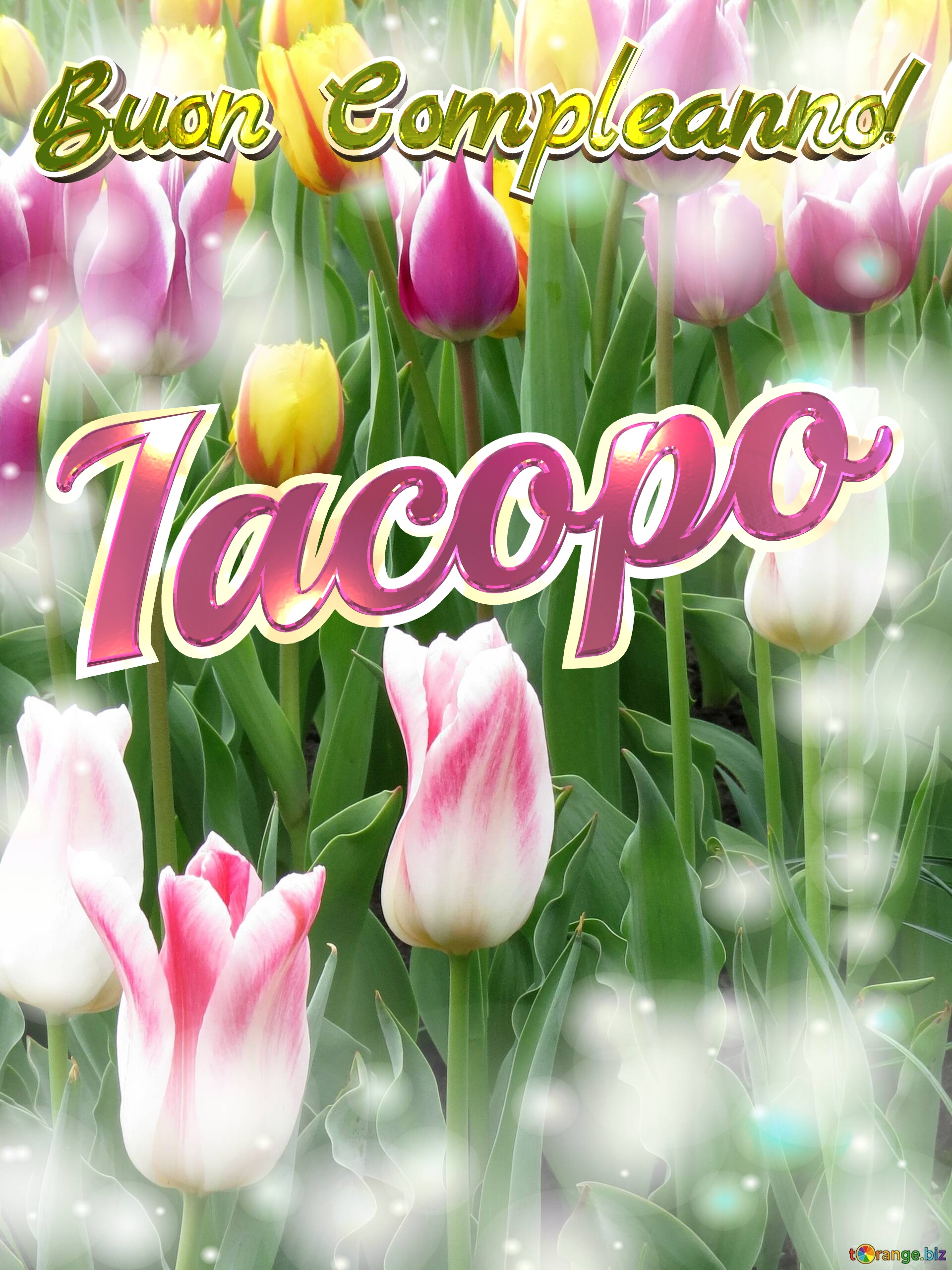 Buon Compleanno! Iacopo  Che questi tulipani ti portino la pace e la tranquillità che stai cercando nella tua vita. №0