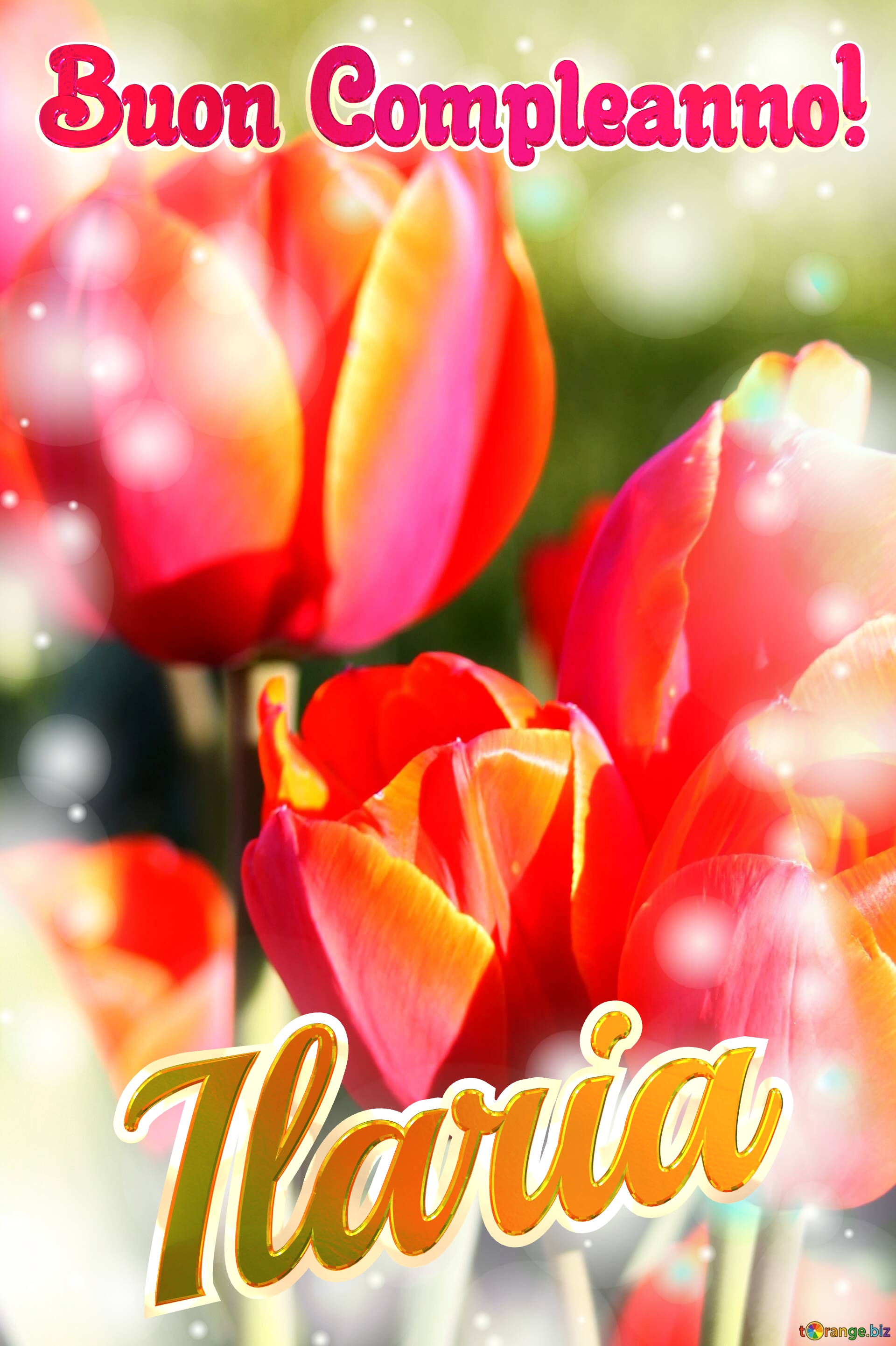 Buon Compleanno! Ilaria  Che questi tulipani ti portino la pace e la serenità che stai cercando nella tua vita. №0