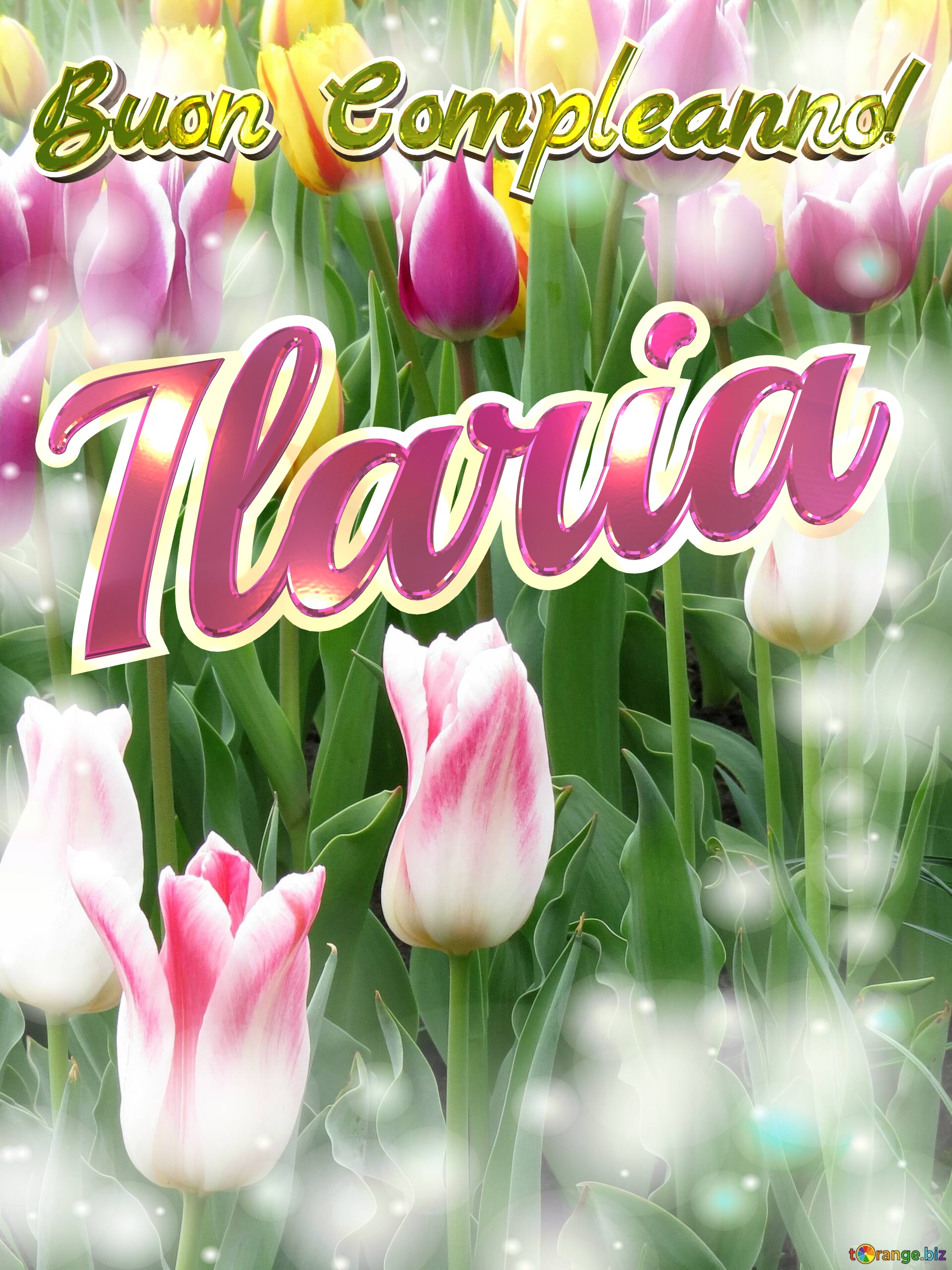 Buon Compleanno! Ilaria  Che questi tulipani ti portino la pace e la tranquillità che stai cercando nella tua vita. №0