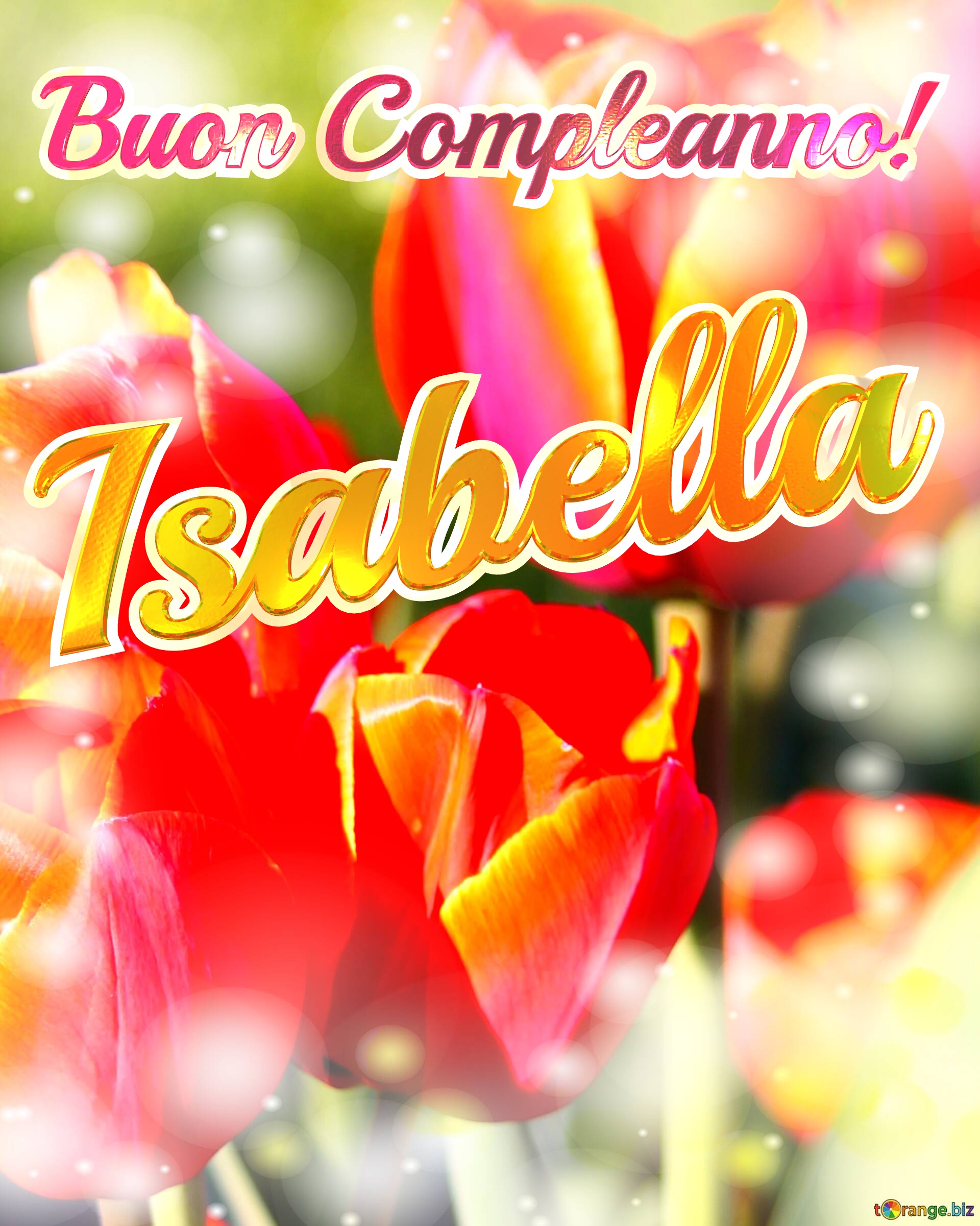 Buon Compleanno! Isabella  La bellezza dei tulipani è un richiamo alla bellezza della vita, auguri per una vita piena di bellezza e soddisfazione. №0