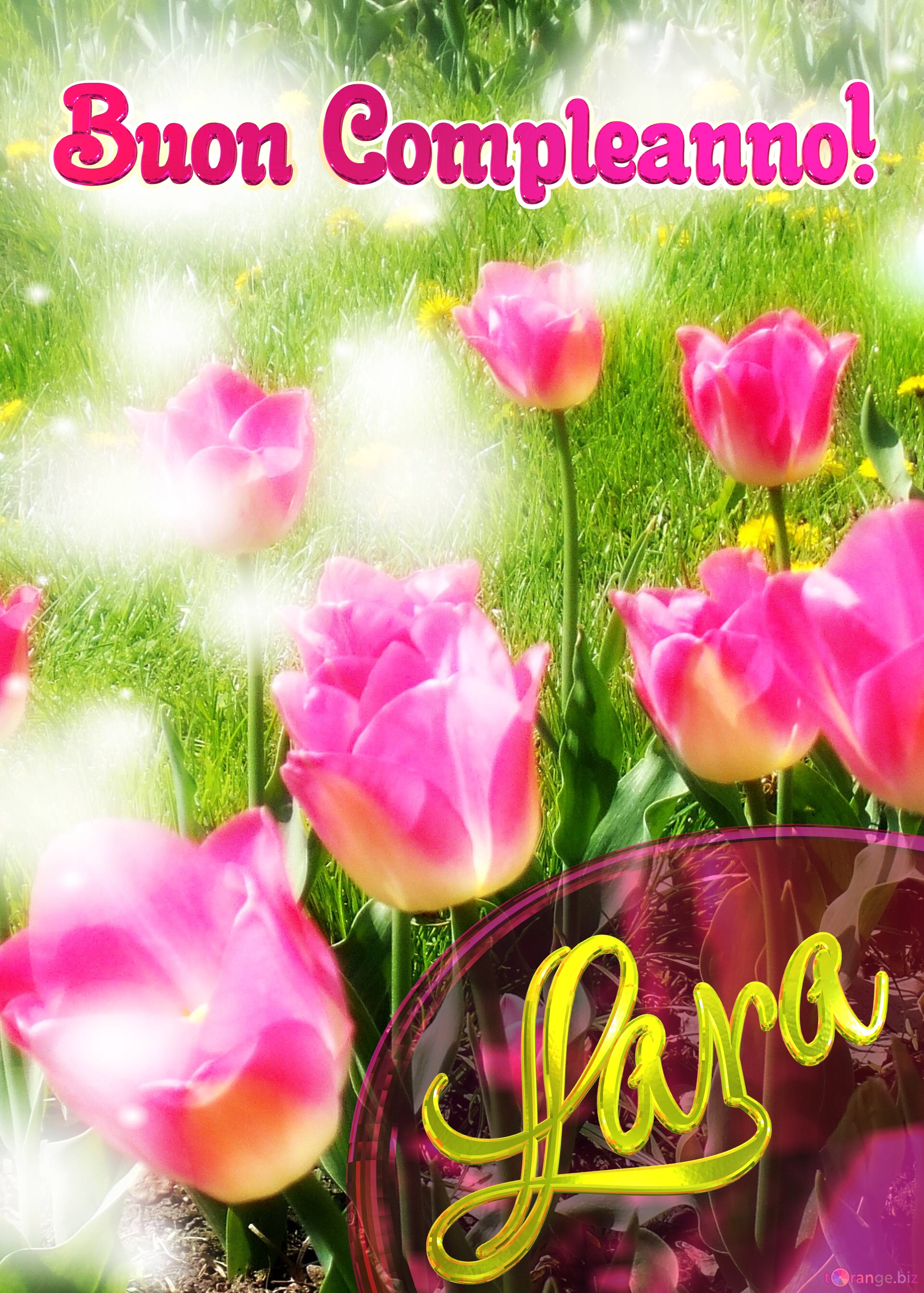 Buon Compleanno! Lara   Il tulipano è un simbolo di sincerità, auguri per una vita sincera e vera. №0