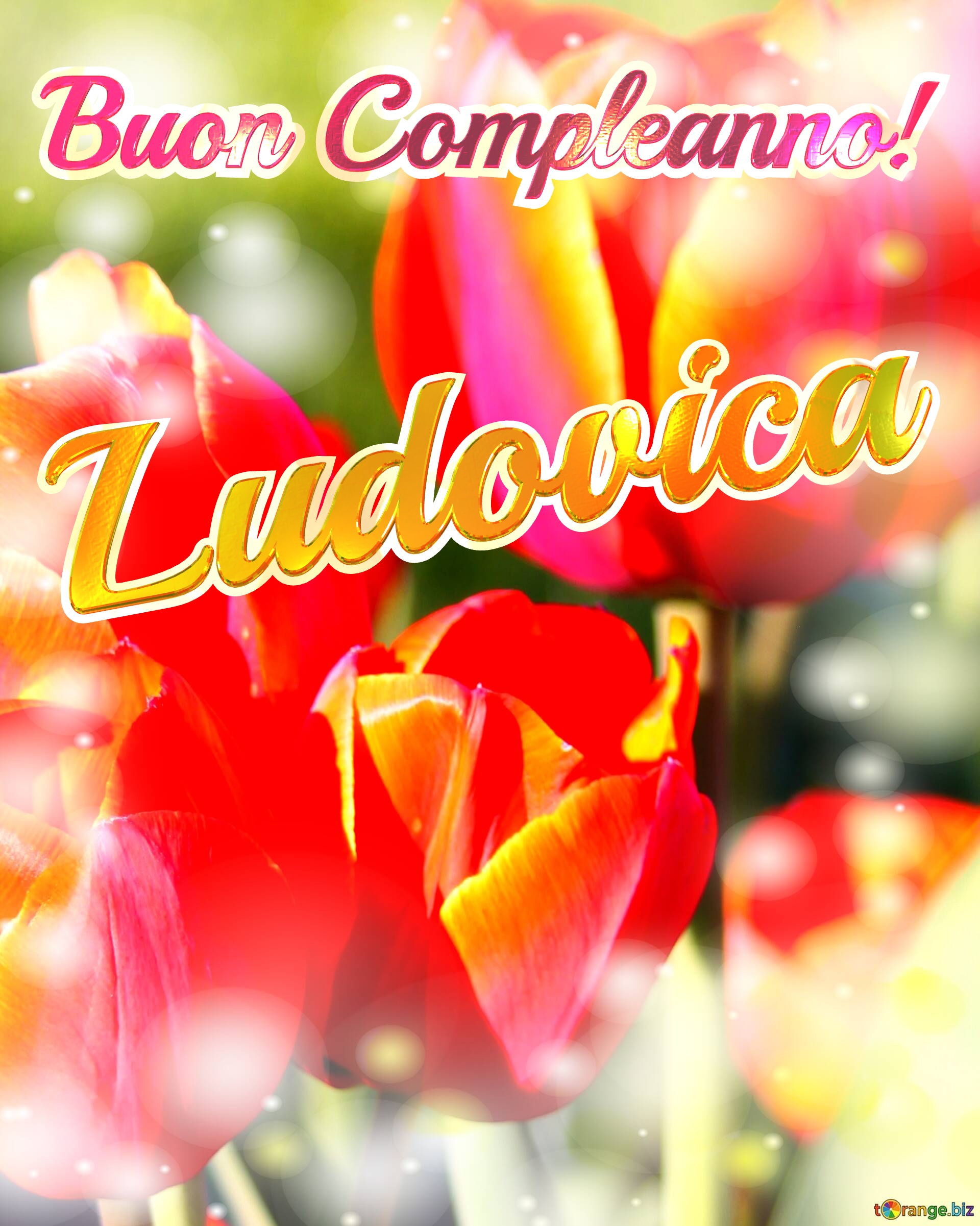 Buon Compleanno! Ludovica  La bellezza dei tulipani è un richiamo alla bellezza della vita, auguri per una vita piena di bellezza e soddisfazione. №0