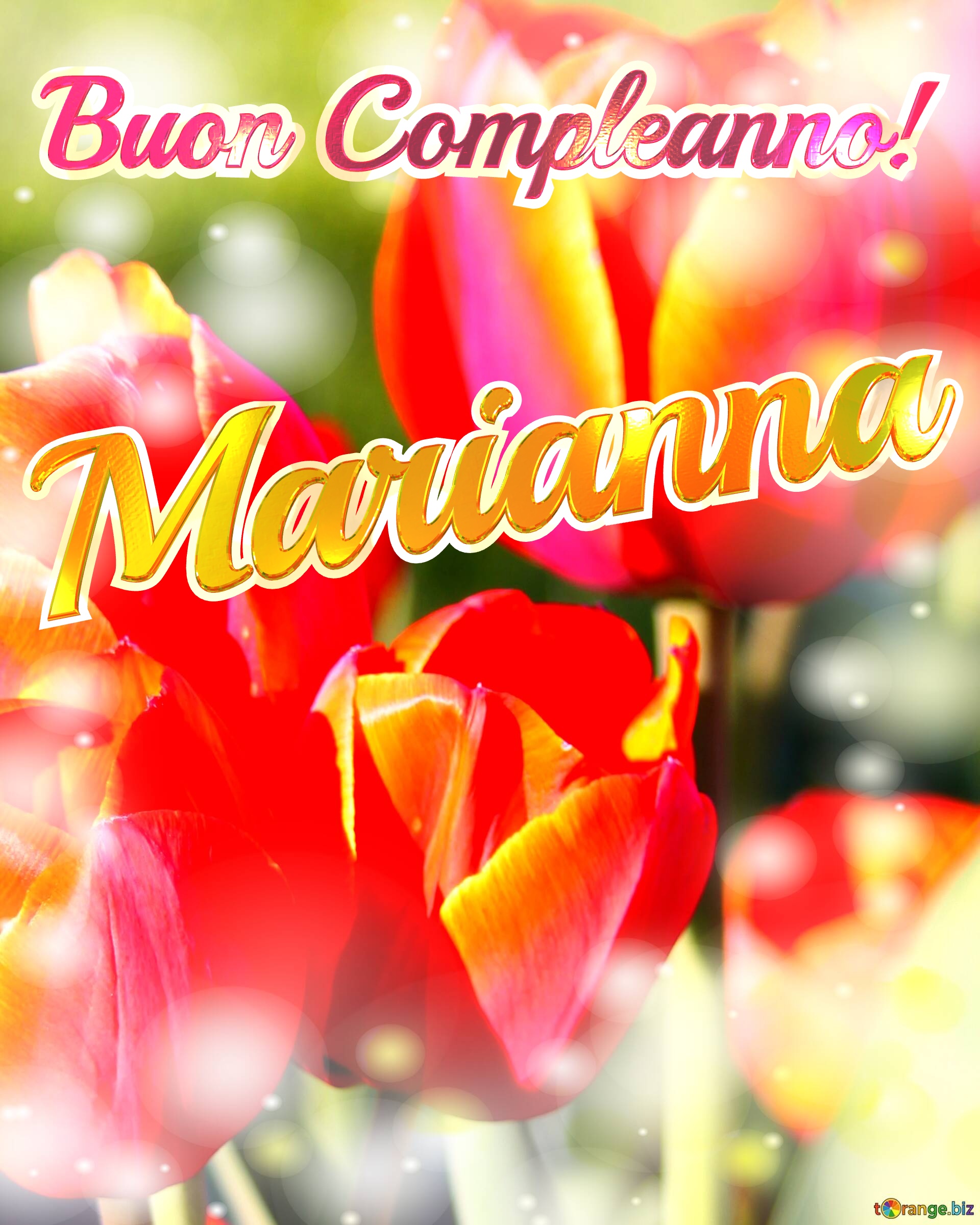Buon Compleanno! Marianna  La bellezza dei tulipani è un richiamo alla bellezza della vita, auguri per una vita piena di bellezza e soddisfazione. №0