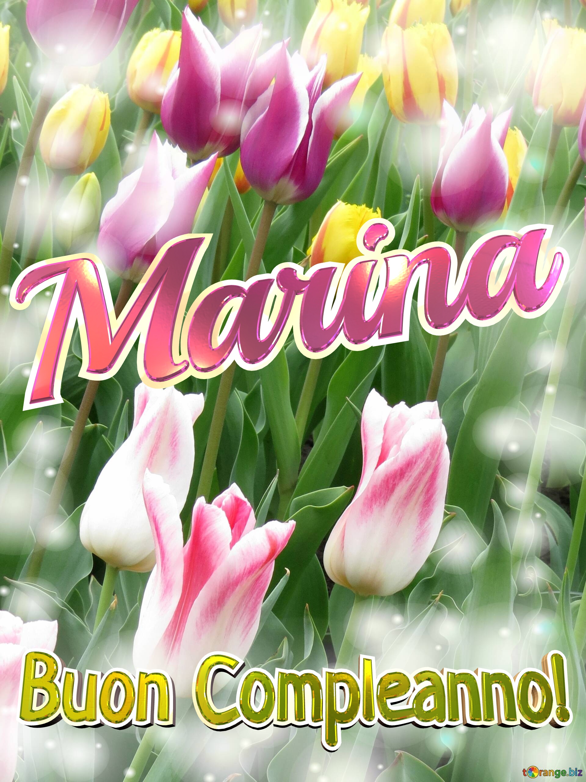 Buon Compleanno! Marina  La bellezza dei tulipani è un richiamo alla bellezza della vita, goditi ogni istante della tua vita. №0