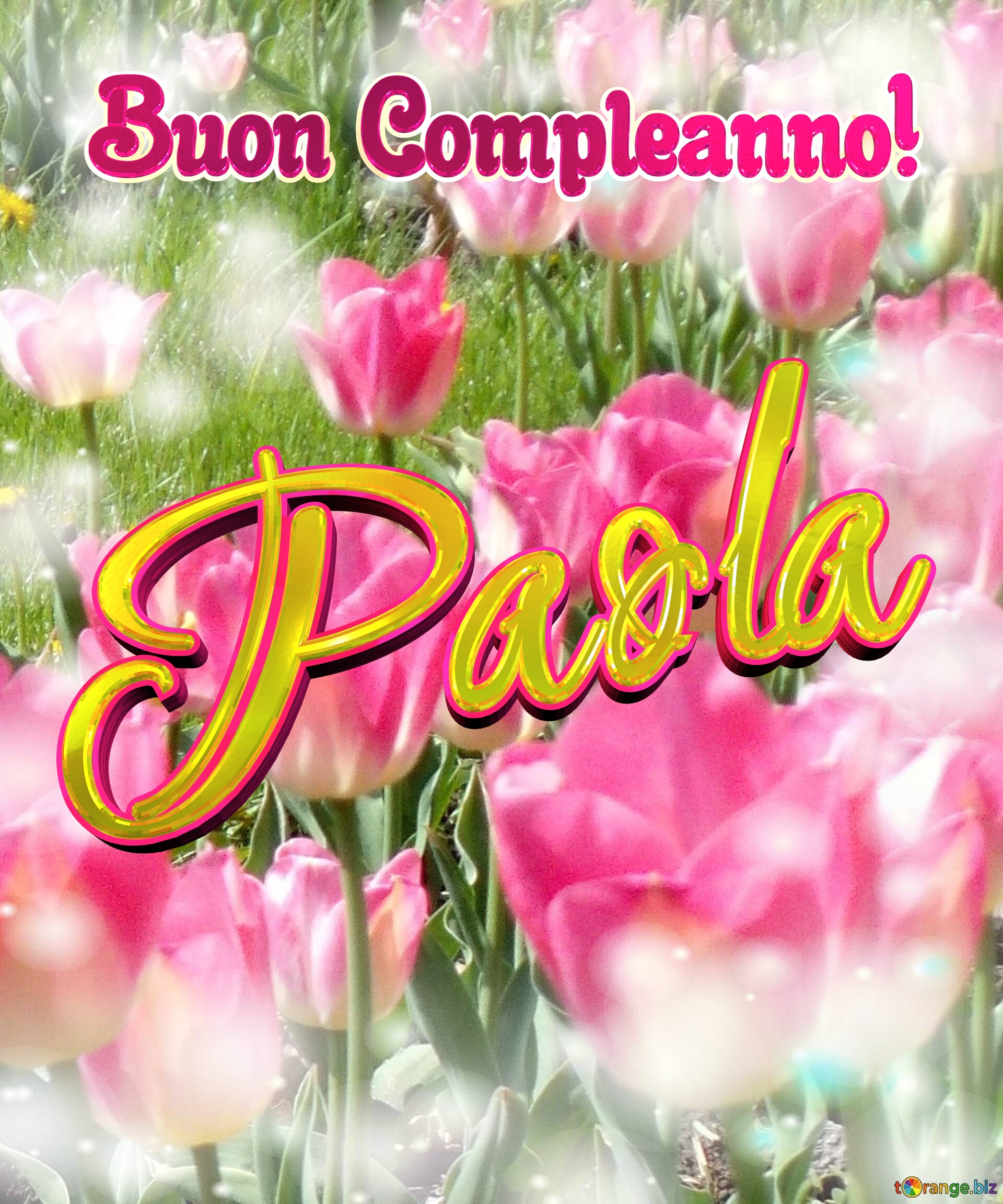 Buon Compleanno! Paola  Che questi tulipani ti portino la gioia e la felicità che hai sempre desiderato. №0