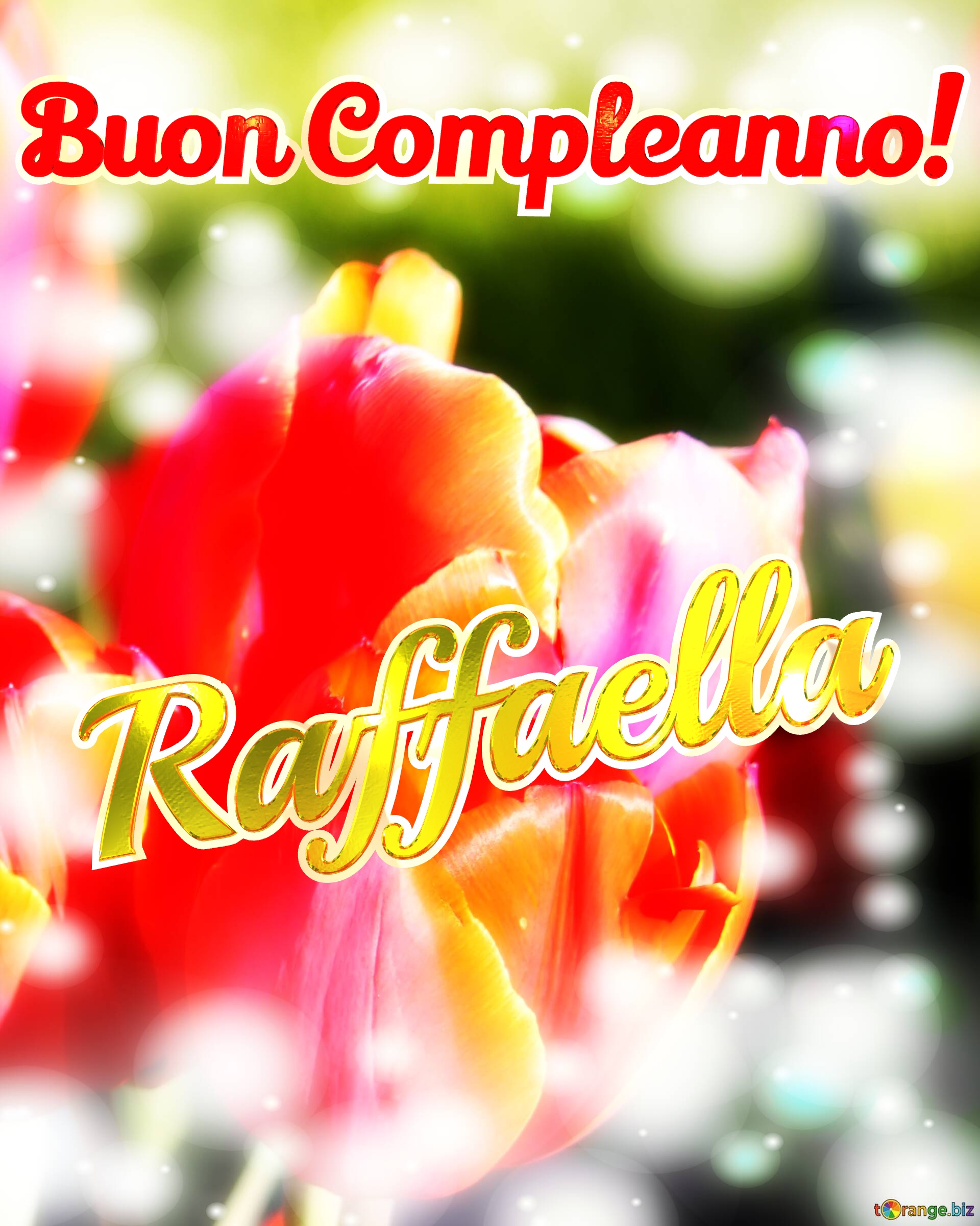 Buon Compleanno! Raffaella  Buona primavera, che questi tulipani ti portino la freschezza e la vitalità della primavera. №0