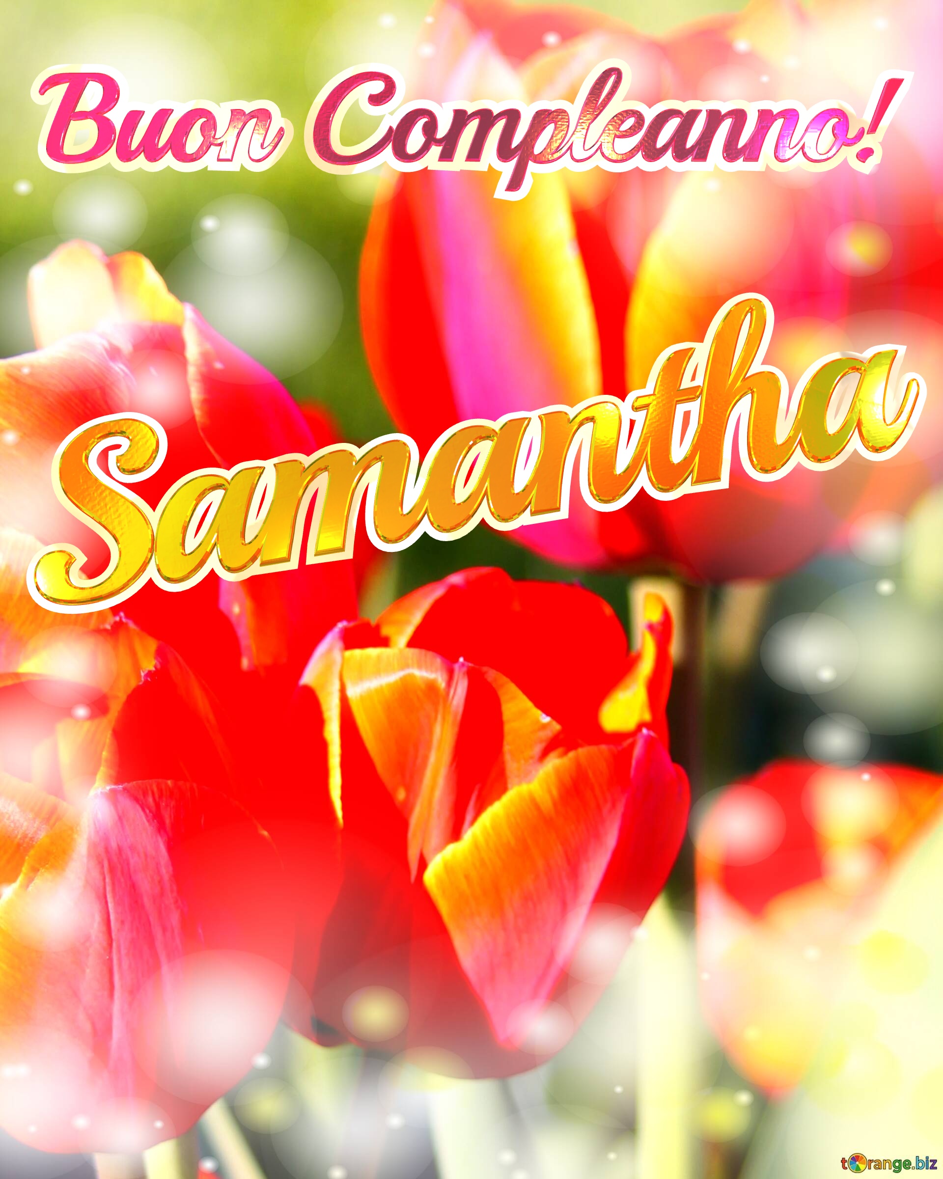 Buon Compleanno! Samantha  La bellezza dei tulipani è un richiamo alla bellezza della vita, auguri per una vita piena di bellezza e soddisfazione. №0