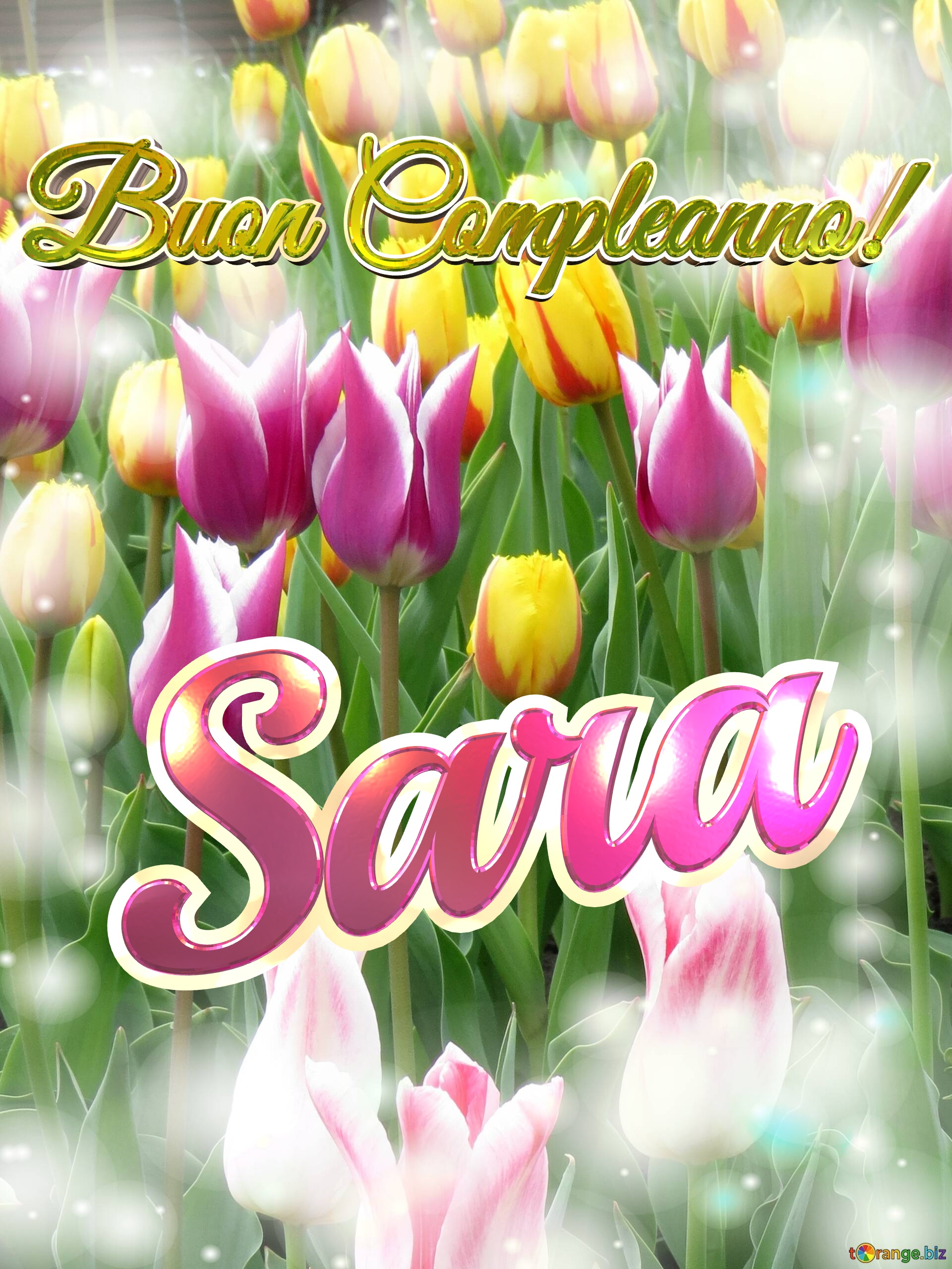 Buon Compleanno! Sara  Questi tulipani ti portano la bellezza della primavera e la gioia della vita, goditi ogni momento. №0