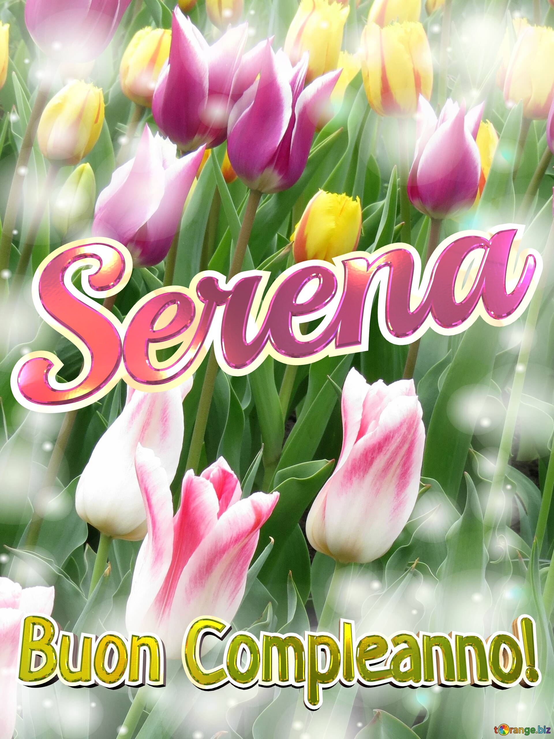 Buon Compleanno! Serena  La bellezza dei tulipani è un richiamo alla bellezza della vita, goditi ogni istante della tua vita. №0