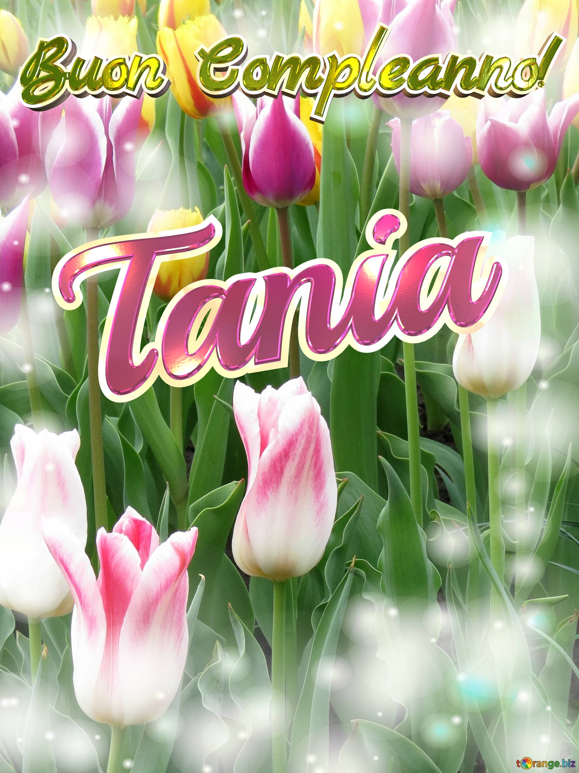 Buon Compleanno! Tania  Che questi tulipani ti portino la pace e la tranquillità che stai cercando nella tua vita. №0