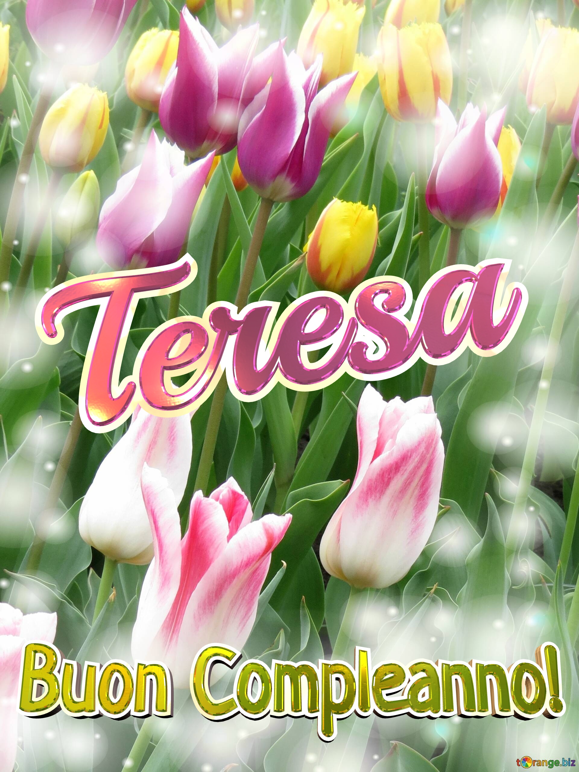 Buon Compleanno! Teresa  La bellezza dei tulipani è un richiamo alla bellezza della vita, goditi ogni istante della tua vita. №0