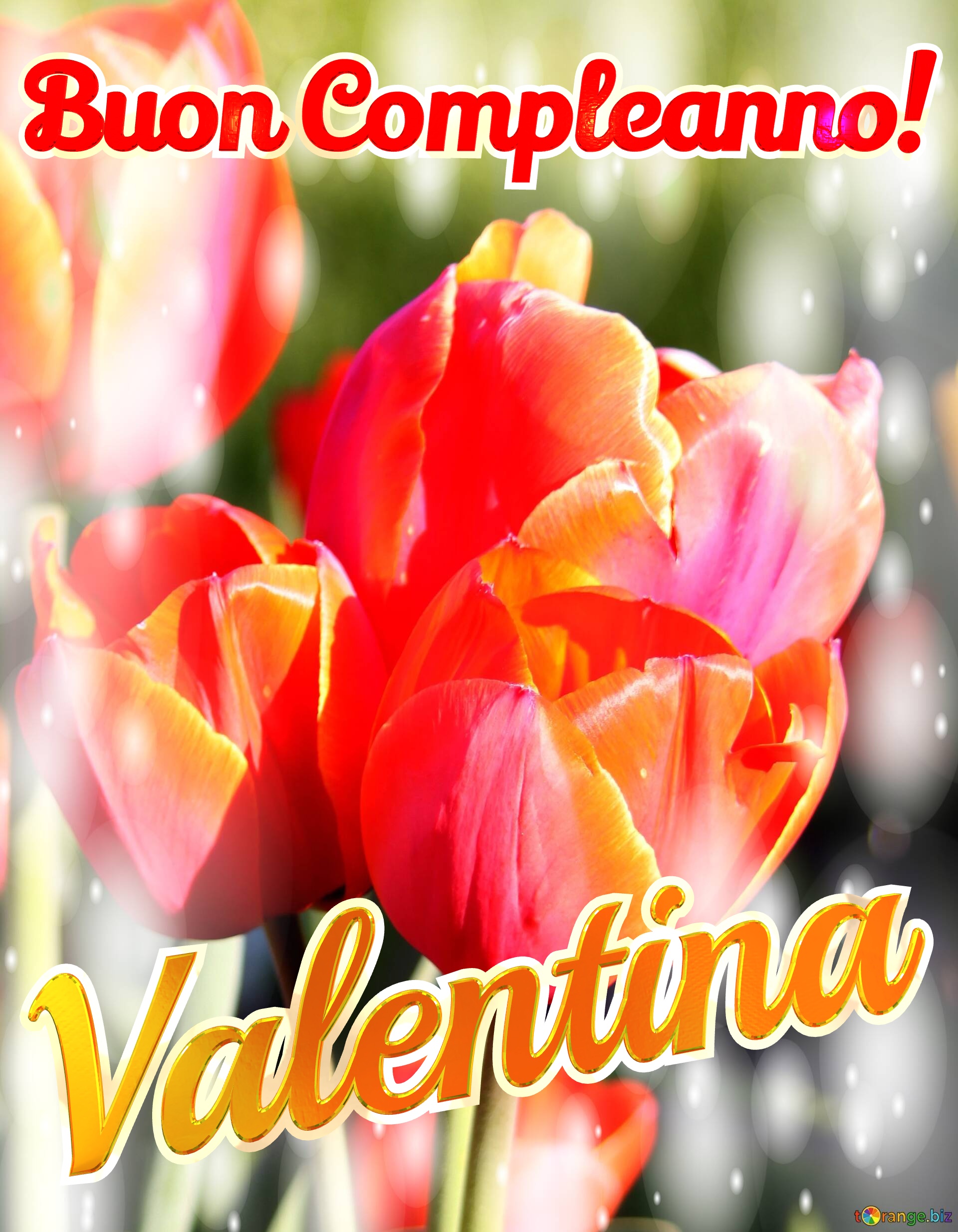 Buon Compleanno! Valentina  Questi tulipani ti portano la bellezza della natura e la bellezza della vita, goditi ogni istante. №0