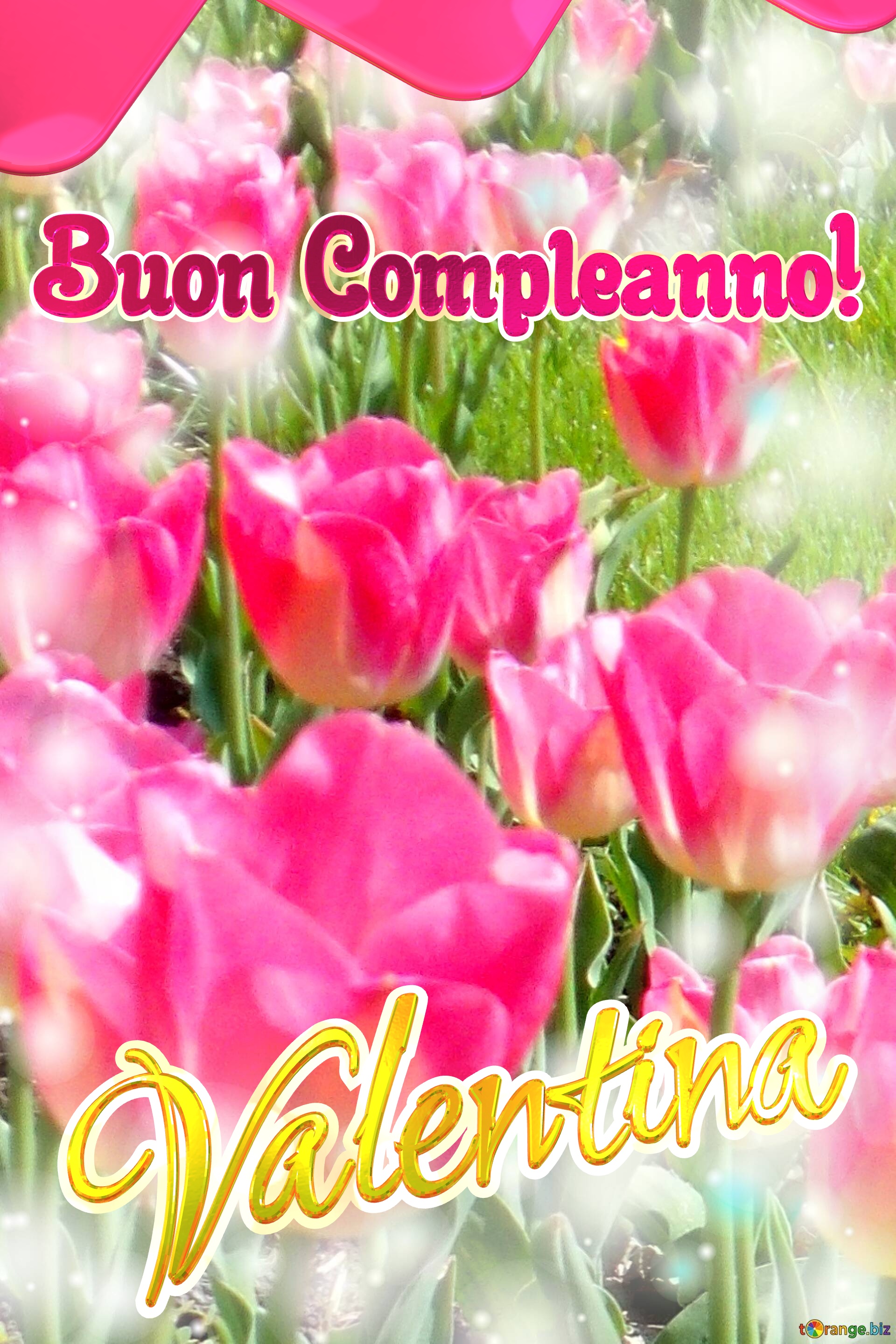 Buon Compleanno! Valentina   Questi tulipani ti portano la sincerità e la verità nel tuo cuore, auguri per una vita autentica. №0