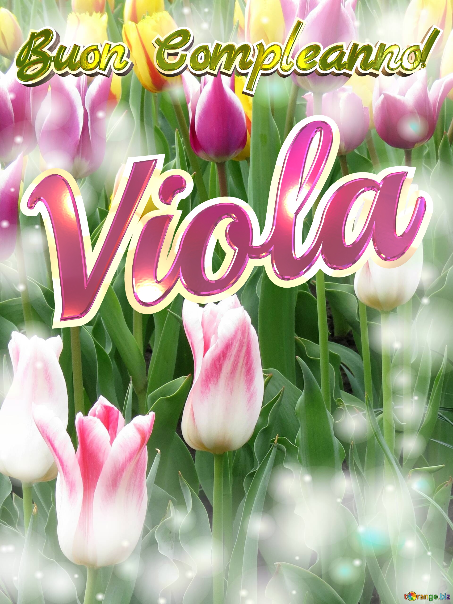Buon Compleanno! Viola  Che questi tulipani ti portino la pace e la tranquillità che stai cercando nella tua vita. №0