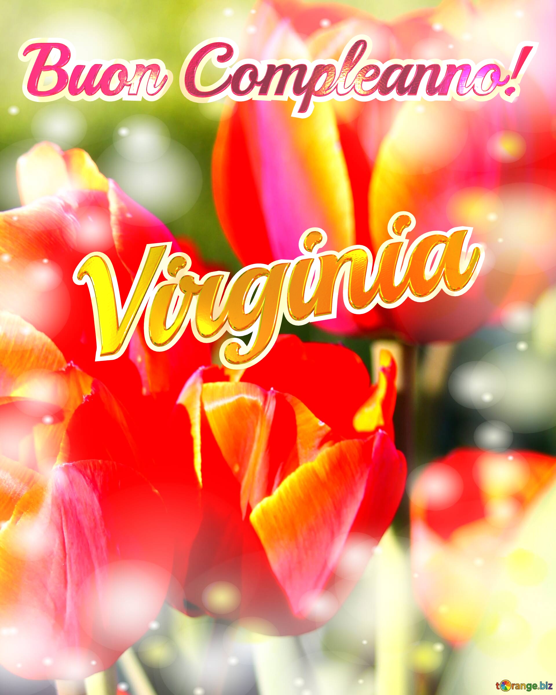 Buon Compleanno! Virginia  La bellezza dei tulipani è un richiamo alla bellezza della vita, auguri per una vita piena di bellezza e soddisfazione. №0