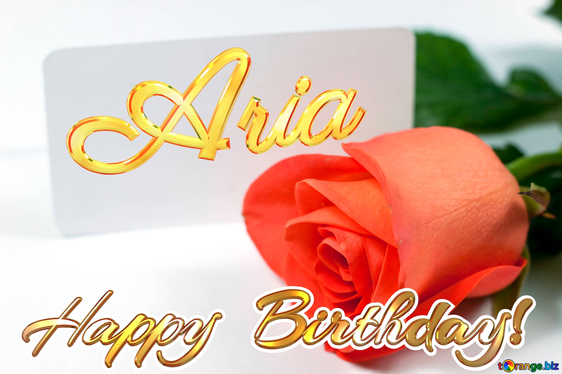 Happy  Birthday! Aria  Rosa   business card . On  White  background. №7233