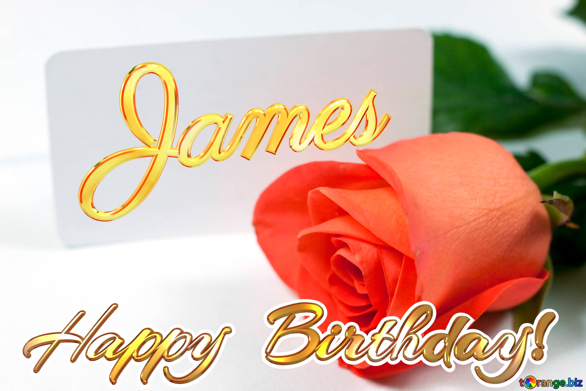 Happy  Birthday! James  Rosa   business card . On  White  background. №7233