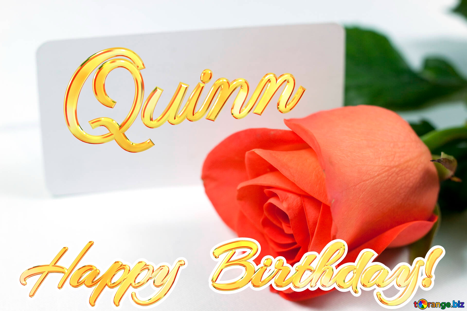 Happy  Birthday! Quinn  Rosa   business card . On  White  background. №7233