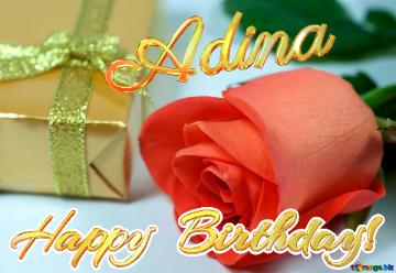 Adina Happy  Birthday!  Gift  At  Anniversary