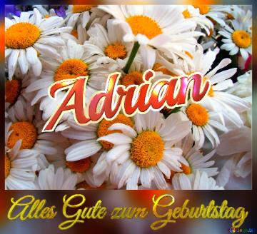 Alles Gute Zum Geburtstag Adrian  Das Ist Ein Gänseblümchen.