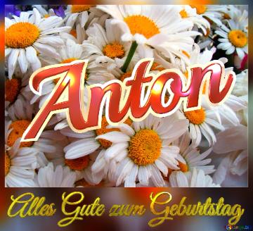 Alles Gute Zum Geburtstag Anton  Das Ist Ein Gänseblümchen.