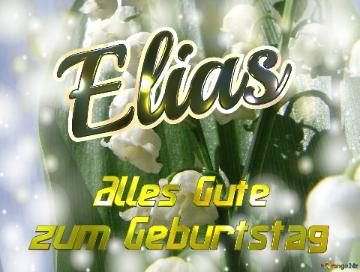     Alles Gute  Zum Geburtstag Elias  Maiglöckchen Blumen