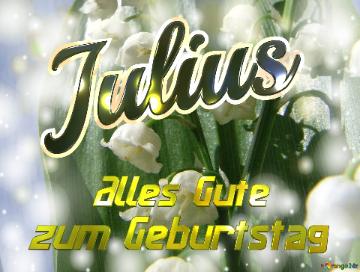     Alles Gute  Zum Geburtstag Julius  Maiglöckchen Blumen