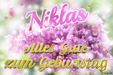     Alles Gute  Zum Geburtstag Niklas  Lilac