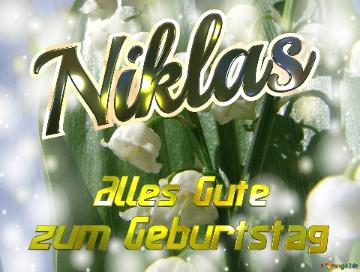     Alles Gute  Zum Geburtstag Niklas  Maiglöckchen Blumen