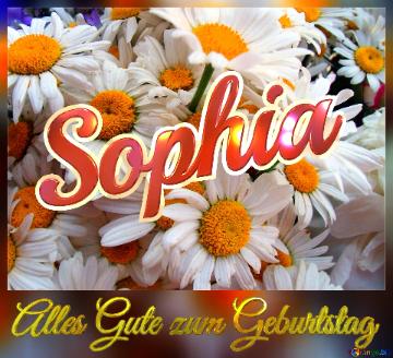 Alles Gute Zum Geburtstag Sophia  Das Ist Ein Gänseblümchen.