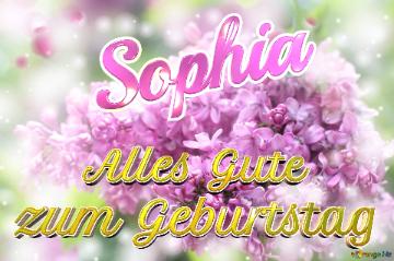     Alles Gute  Zum Geburtstag Sophia  Lilac