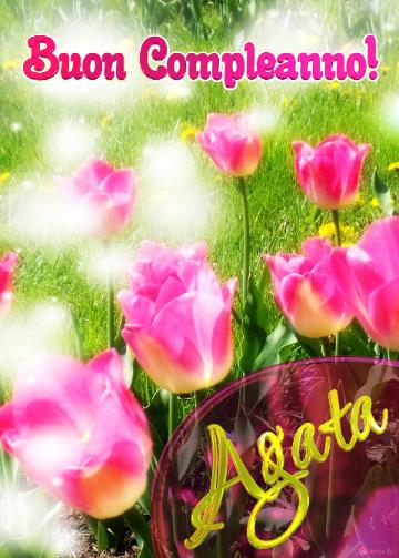 Buon Compleanno! Agata   Il Tulipano è Un Simbolo Di Sincerità, Auguri Per Una Vita Sincera E...