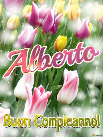 Buon Compleanno! Alberto  La Bellezza Dei Tulipani è Un Richiamo Alla Bellezza Della Vita, Goditi...