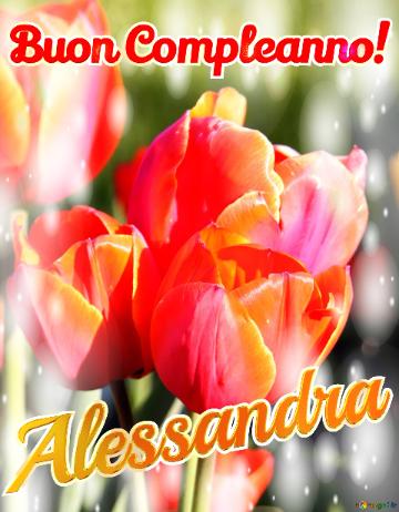 Buon Compleanno! Alessandra  Questi Tulipani Ti Portano La Bellezza Della Natura E La Bellezza...