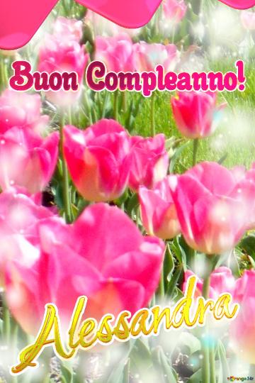 Buon Compleanno! Alessandra   Questi Tulipani Ti Portano La Sincerità E La Verità Nel Tuo Cuore,...
