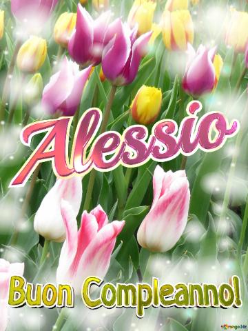 Buon Compleanno! Alessio  La Bellezza Dei Tulipani è Un Richiamo Alla Bellezza Della Vita, Goditi...