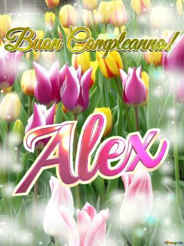 Buon Compleanno! Alex  Questi Tulipani Ti Portano La Bellezza Della Primavera E La Gioia Della...