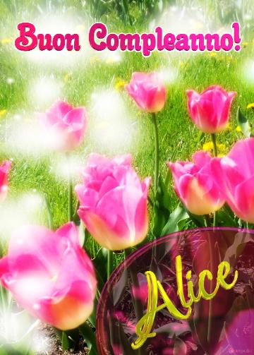 Buon Compleanno! Alice   Il Tulipano è Un Simbolo Di Sincerità, Auguri Per Una Vita Sincera E...