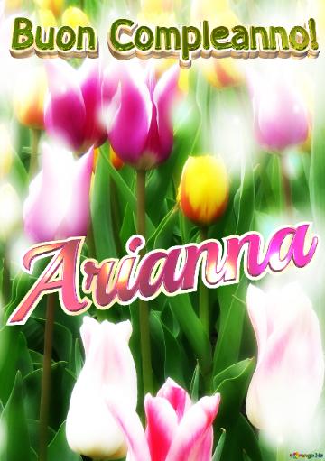 Buon Compleanno! Arianna  Buona Primavera, Che Questi Tulipani Ti Portino La Freschezza E La...