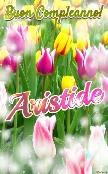 Buon Compleanno! Aristide  Il Tulipano è Un Simbolo Di Lealtà, Auguri Per Una Vita Leale E Fedele.