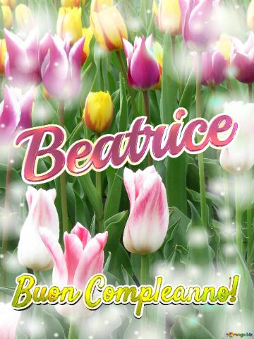 Buon Compleanno! Beatrice  Che Questi Tulipani Ti Portino La Pace E L`armonia Nella Tua Vita...