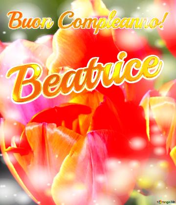 Buon Compleanno! Beatrice  Il Tulipano è Un Simbolo Di Devozione, Auguri Per Una Vita Devota E...