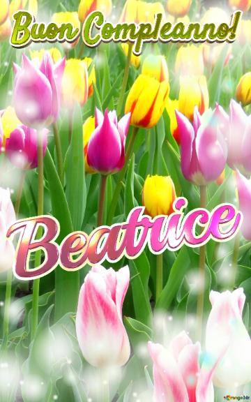 Buon Compleanno! Beatrice  Il Tulipano è Un Simbolo Di Lealtà, Auguri Per Una Vita Leale E Fedele.