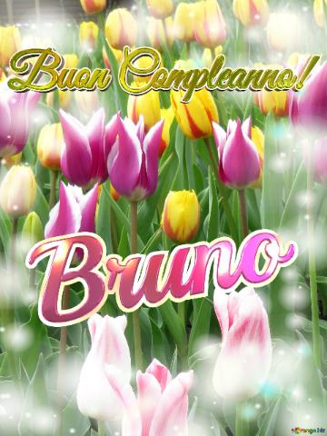 Buon Compleanno! Bruno  Questi Tulipani Ti Portano La Bellezza Della Primavera E La Gioia Della...