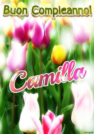 Buon Compleanno! Camilla  Buona Primavera, Che Questi Tulipani Ti Portino La Freschezza E La...