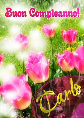 Buon Compleanno! Carlo   Il Tulipano è Un Simbolo Di Sincerità, Auguri Per Una Vita Sincera E...