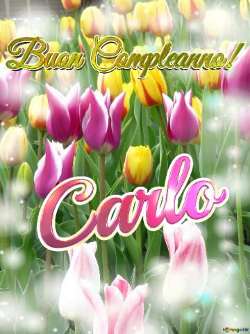 Buon Compleanno! Carlo  Questi Tulipani Ti Portano La Bellezza Della Primavera E La Gioia Della...