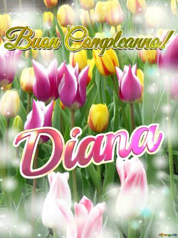 Buon Compleanno! Diana  Questi Tulipani Ti Portano La Bellezza Della Primavera E La Gioia Della...