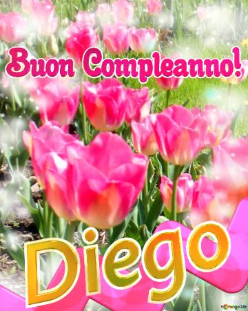 Buon Compleanno! Diego   Buona Primavera, Che Questi Tulipani Ti Portino La Freschezza E La...
