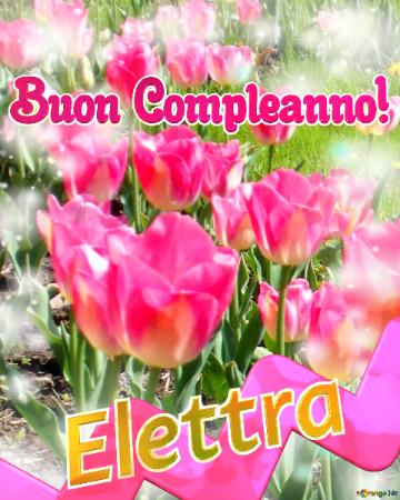Buon Compleanno! Elettra   Buona Primavera, Che Questi Tulipani Ti Portino La Freschezza E La...